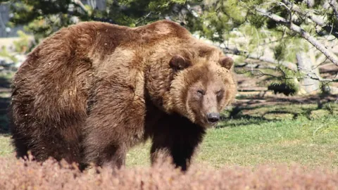 2020-2021赛季拜仁慕尼黑欧冠赛程概览